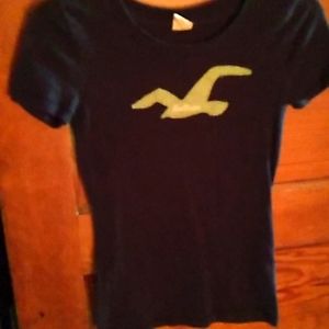 Hollister tee